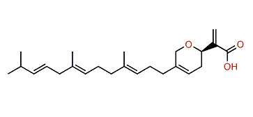 Rhopaloic acid C
